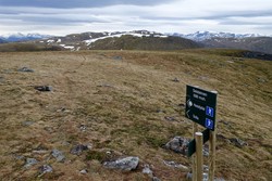 Selsteinen