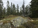 Høgbråtan