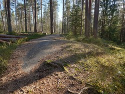 Sandermosåsen