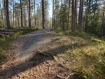 Sandermosåsen