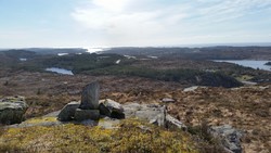 Tveitafjellet