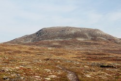 Midtikollen