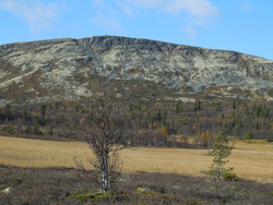 Dynjefjellet