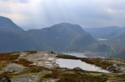 Saueskardegga