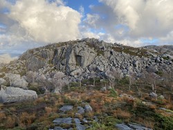 Heståsen