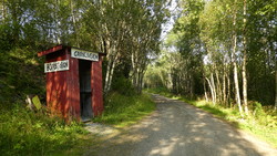 Grønlivegen