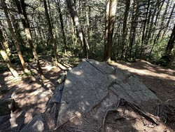 Mount Rogers