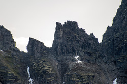 Pinakkelskaret