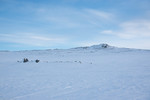 Snohøa