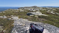 Hestestodnuten