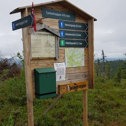 Tjelderknoppen