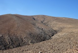 Salinas
