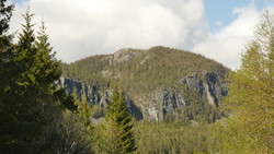 Lauvlikammen