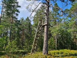 Storåsen i Røyken