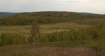Bjødnhøvda