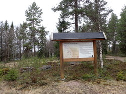 Langhalvorvadet