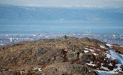 Langdalsberget
