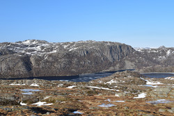 Ørni