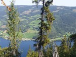 Ryeberget varde