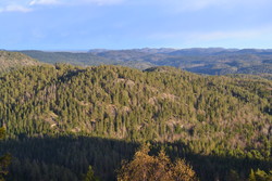 Skilskjølen