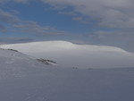 Grønhøa