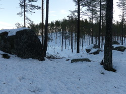 Sør for Deisjøen