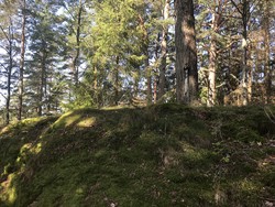 Romsåsen