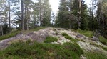 Fiskelausknatten