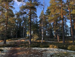 Lepokallio