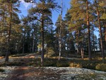 Lepokallio