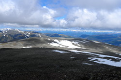 Vetle Hånosi