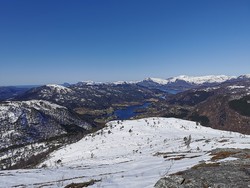 Høgevarden