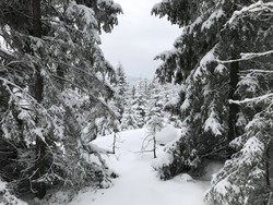 Øyvannsås