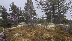 Hellehovda