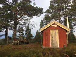Grovurda nødly