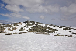 Holmevassnosi