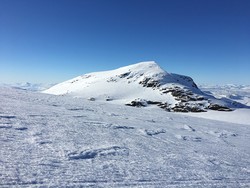 Søre Okskalven
