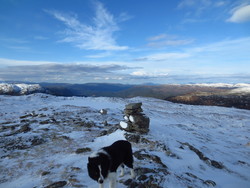 Høgefjellet