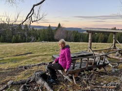 Presthaugen