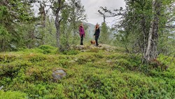 Langås