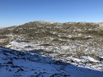 Hestehovden
