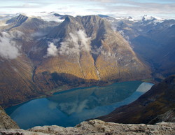 Hogrenningsnibba