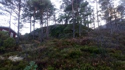 Stemnes