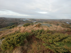 Høgevarden