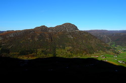Vidhovda
