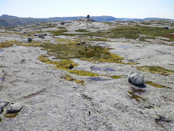 Verkvelvheia