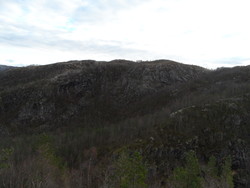 Vågaheia