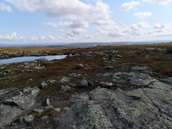 Rennaennsti
