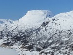 Nevroldsnuten
