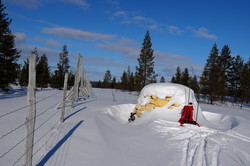 Kolfjellet